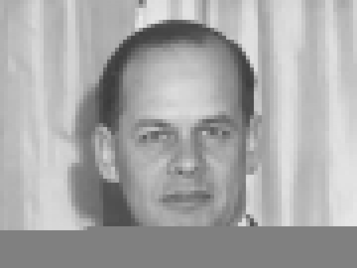 William D M Paton
